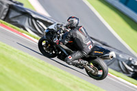 PJ-Motorsport-2019;donington-no-limits-trackday;donington-park-photographs;donington-trackday-photographs;no-limits-trackdays;peter-wileman-photography;trackday-digital-images;trackday-photos